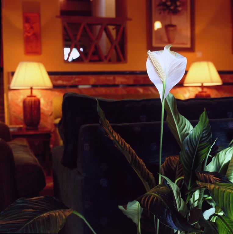 Cortijo La Reina Guest House Malaga Interior photo